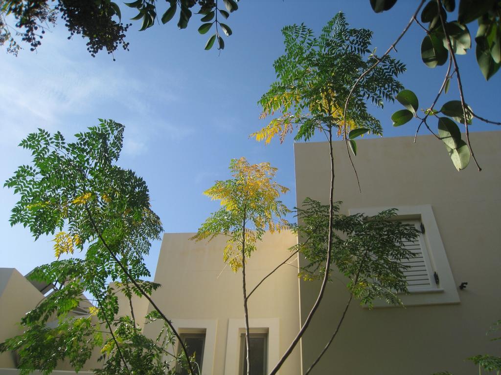 Appartement Homes *